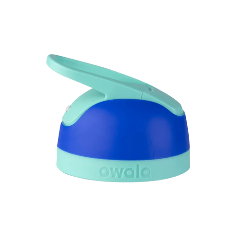 Smooshed Blueberry - Flip
